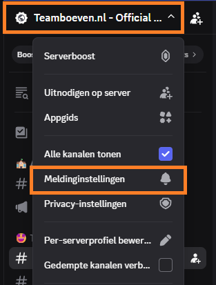 Server dropdown met Meldinginstellingen optie gemarkeerd
